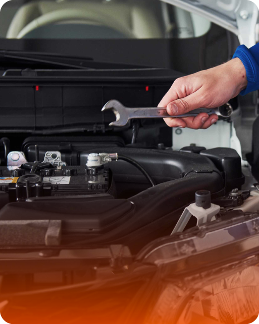 Propuestas de valor PitRapid